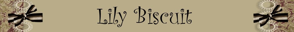 Loja de lilybiscuit